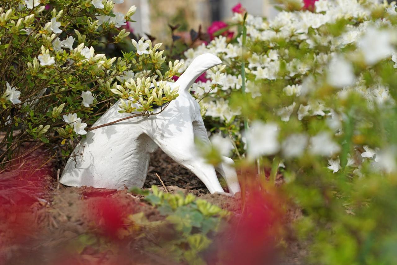 Gite Du Jardin Theux Esterno foto