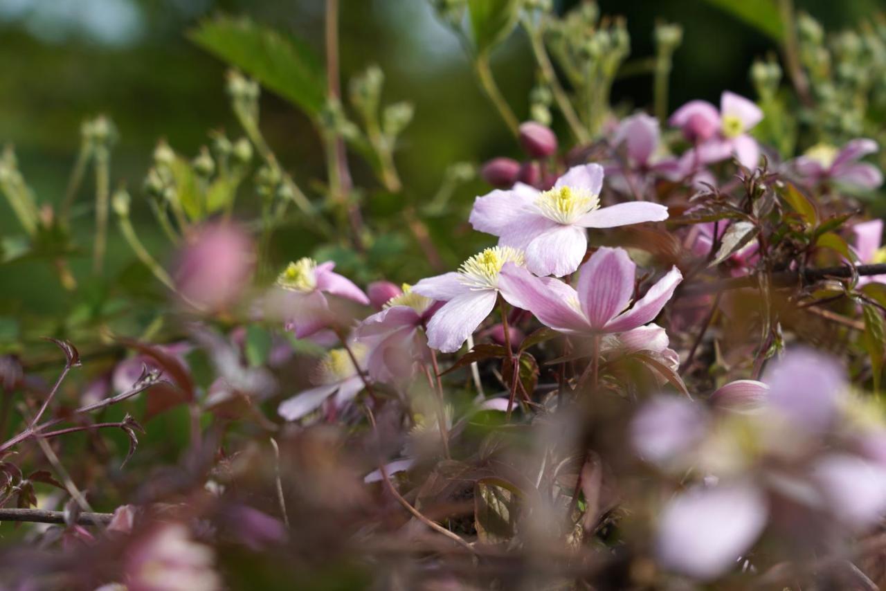Gite Du Jardin Theux Esterno foto